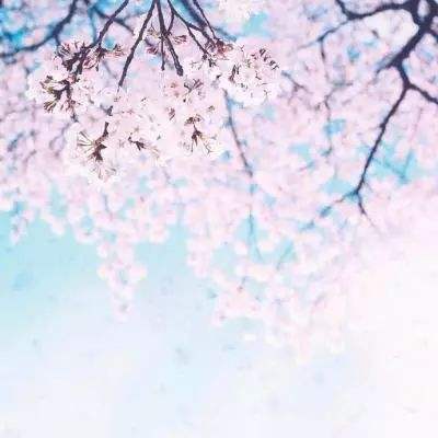 万博manbetx登录下载手机版