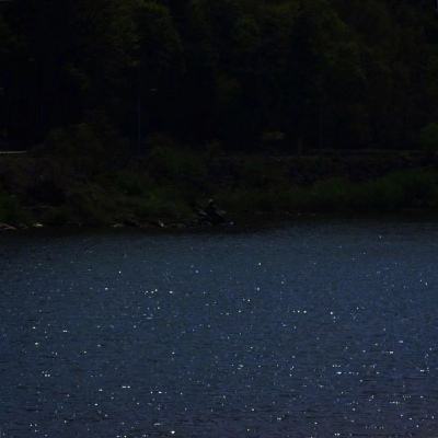 im电竞手机app下载